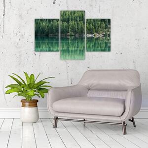 Obraz - Ihličnany pri jazere (90x60 cm)