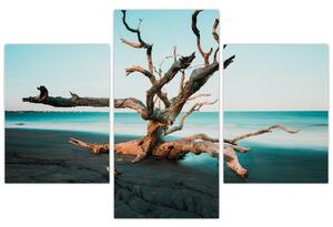 Obraz - Vyplavenie na pláži (90x60 cm)