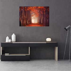 Obraz - Jesenné les (90x60 cm)