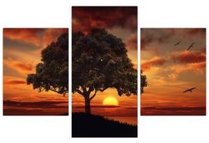 Obraz stromu pri západe slnka (90x60 cm)