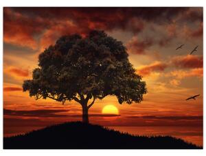 Obraz stromu pri západe slnka (70x50 cm)
