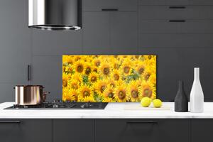 Nástenný panel  Slunecznice rastlina 100x50 cm