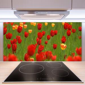Nástenný panel  Tulipány rastlina 100x50 cm