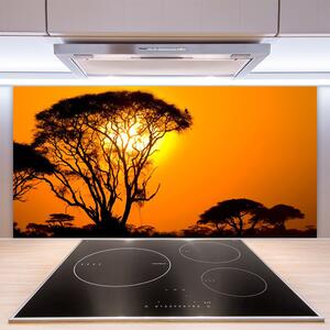 Nástenný panel  Strom slnko príroda 100x50 cm