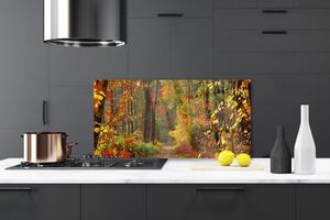 Sklenený obklad Do kuchyne Les príroda jeseň 120x60 cm