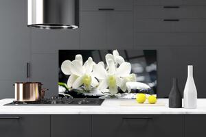 Sklenený obklad Do kuchyne Kamene kvety orchidea 140x70 cm