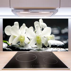 Sklenený obklad Do kuchyne Kamene kvety orchidea 100x50 cm