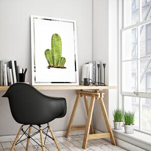 Obraz Kaktus na zrkadle Mirrora 68 - 60x40 cm (Obrazy Mirrora)