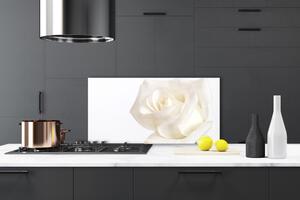 Sklenený obklad Do kuchyne Ruže kvety 100x50 cm