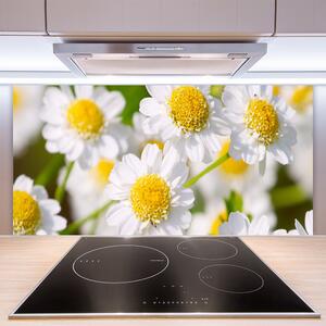 Sklenený obklad Do kuchyne Kvety sedmokráska príroda 100x50 cm