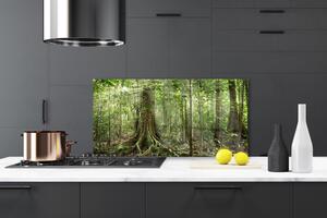 Sklenený obklad Do kuchyne Les príroda džungle 140x70 cm