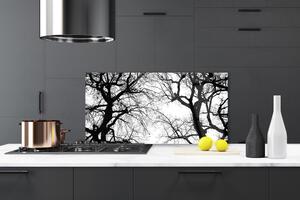 Sklenený obklad Do kuchyne Stromy príroda čiernobiely 120x60 cm