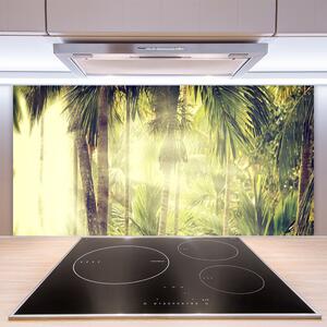 Sklenený obklad Do kuchyne Les palmy stromy príroda 100x50 cm