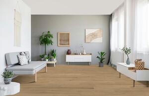 PARADOR Basic 11-5 Classic Dub pure 1595165 - 4.07 m2