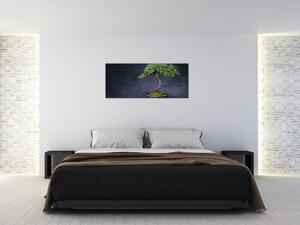 Obraz - Bonsai (120x50 cm)