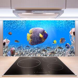 Nástenný panel  Ryba príroda 100x50 cm