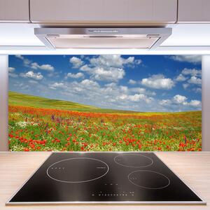 Nástenný panel  Lúka kvety príroda 100x50 cm