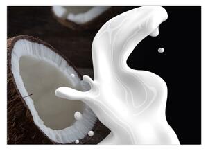 Obraz - kokosové mlieko (70x50 cm)