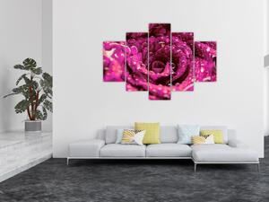 Obraz ružového kvetu ruže (150x105 cm)