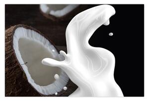 Obraz - kokosové mlieko (90x60 cm)