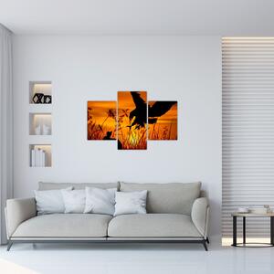 Obraz siluety dravca (90x60 cm)