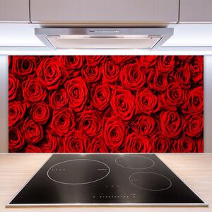 Nástenný panel  Ruže 100x50 cm