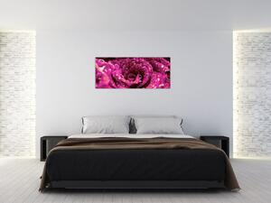 Obraz ružového kvetu ruže (120x50 cm)