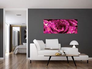 Obraz ružového kvetu ruže (120x50 cm)