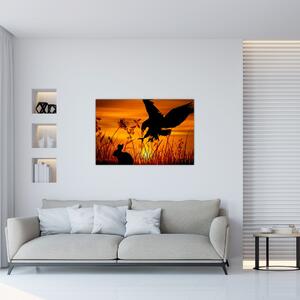 Obraz siluety dravca (90x60 cm)