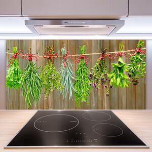 Sklenený obklad Do kuchyne Sušené byliny listy príroda 100x50 cm