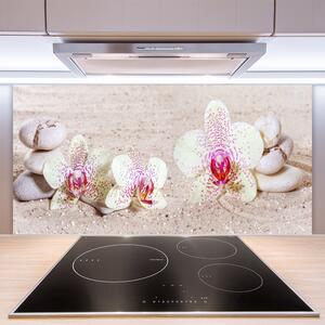 Sklenený obklad Do kuchyne Orchidea kamene zen písek 100x50 cm