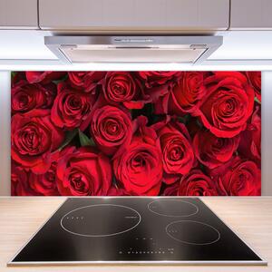 Sklenený obklad Do kuchyne Červené ruže kvety príroda 100x50 cm