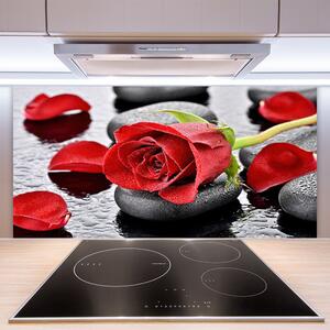Sklenený obklad Do kuchyne Ruže kvet kamene zen 100x50 cm