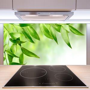 Sklenený obklad Do kuchyne Zelené listy príroda 100x50 cm
