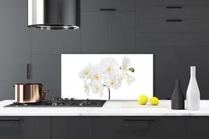 Sklenený obklad Do kuchyne Biela orchidea kvety 100x50 cm