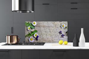 Sklenený obklad Do kuchyne Sedmokráska rastlina príroda 120x60 cm