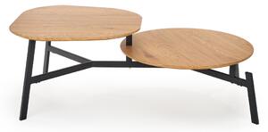 Konferenčný stolík ZIGGY, 120x40x65, dub zlatý/čierna