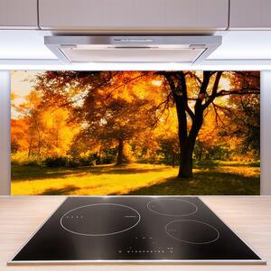 Sklenený obklad Do kuchyne Stromy jeseň príroda 100x50 cm