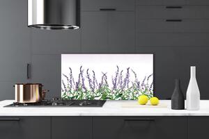 Sklenený obklad Do kuchyne Kvety rastlina príroda 100x50 cm