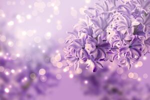 Tapeta fialový kvet orgovánu