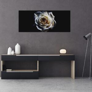 Obraz bielej ruže (120x50 cm)
