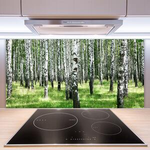 Sklenený obklad Do kuchyne Les tráva rastlina príroda 100x50 cm