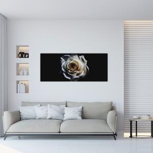 Obraz bielej ruže (120x50 cm)