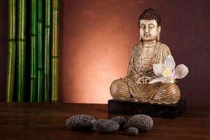 Fototapeta meditujúci Budha