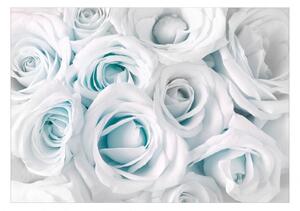 Samolepiaca fototapeta - Saténová ruža (tyrkysová) 98x70