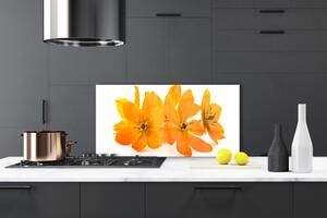 Nástenný panel  Oranžové kvety 100x50 cm