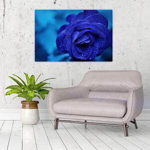 Obraz modrej ruže (90x60 cm)