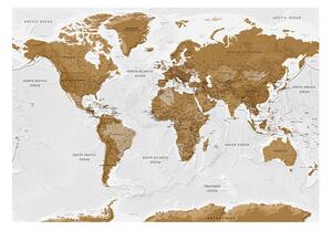 Samolepiaca fototapeta - Mapa sveta: Biele oceány 147x105