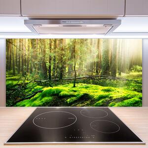 Nástenný panel  Mech les príroda 100x50 cm