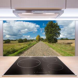 Nástenný panel  Dedina cesta dlažba krajina 100x50 cm